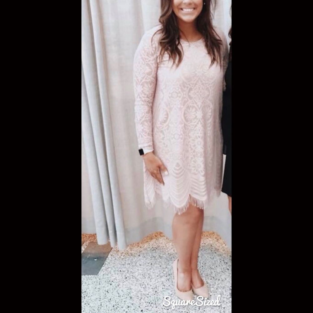 bcbg “marae” lace a-line dress in millennial pink